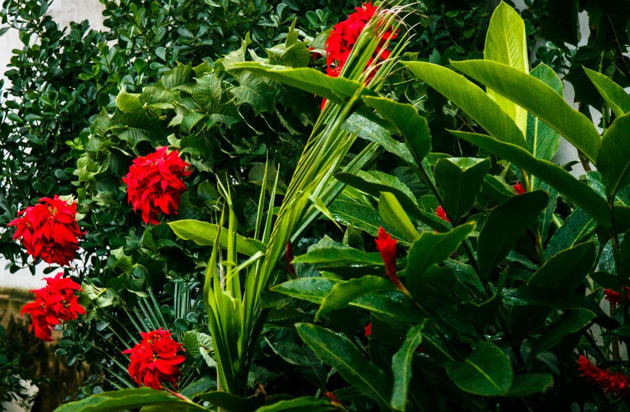 Pousada Raio De Sol São João Batista do Glória Exterior foto